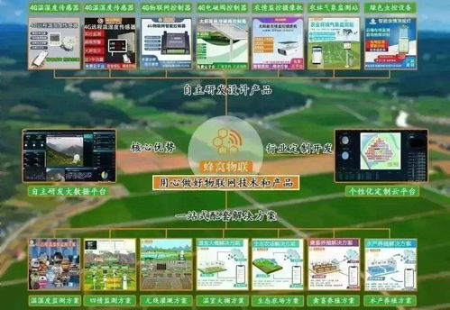 四情監(jiān)測系統(tǒng)助力三明沙縣智慧茶園科學(xué)管控，提產(chǎn)增效